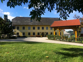 Отель Familienbauernhof Salmanner  Штайнбах-На-Штайре